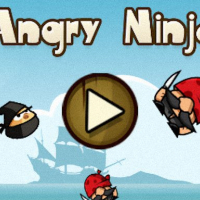 Angry Ninjas