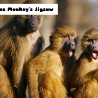 Three Monkey